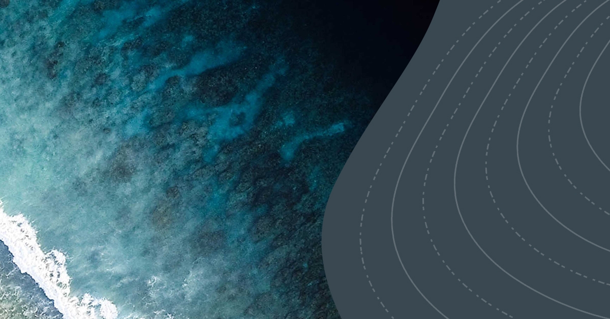 Diving Beneath the Surface: How To Seek Understanding From Others