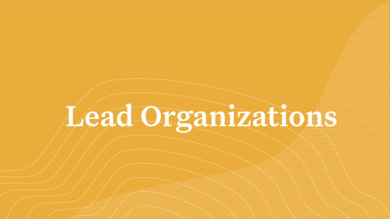 lead-organizations