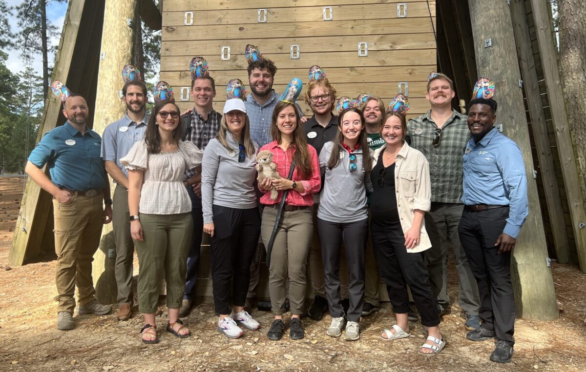 celebrating well - milestones